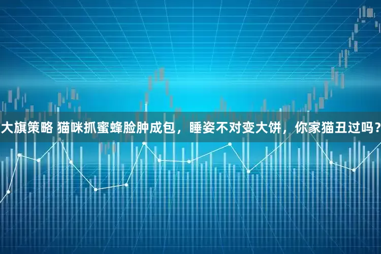 大旗策略 猫咪抓蜜蜂脸肿成包，睡姿不对变大饼，你家猫丑过吗？