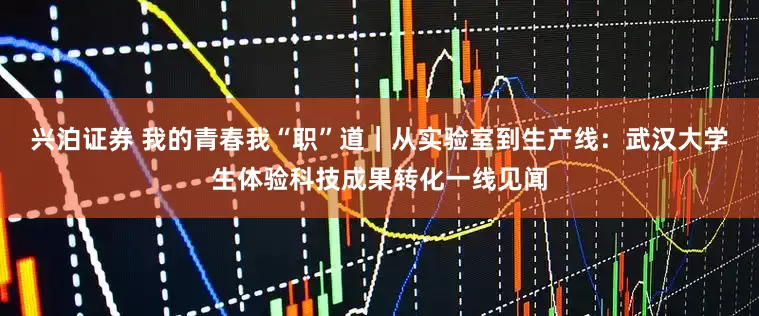 兴泊证券 我的青春我“职”道｜从实验室到生产线：武汉大学生体验科技成果转化一线见闻