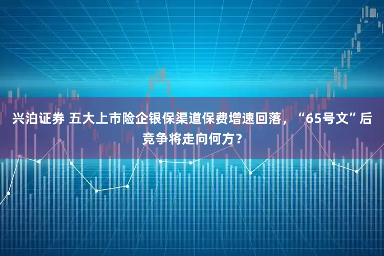 兴泊证券 五大上市险企银保渠道保费增速回落，“65号文”后竞争将走向何方？